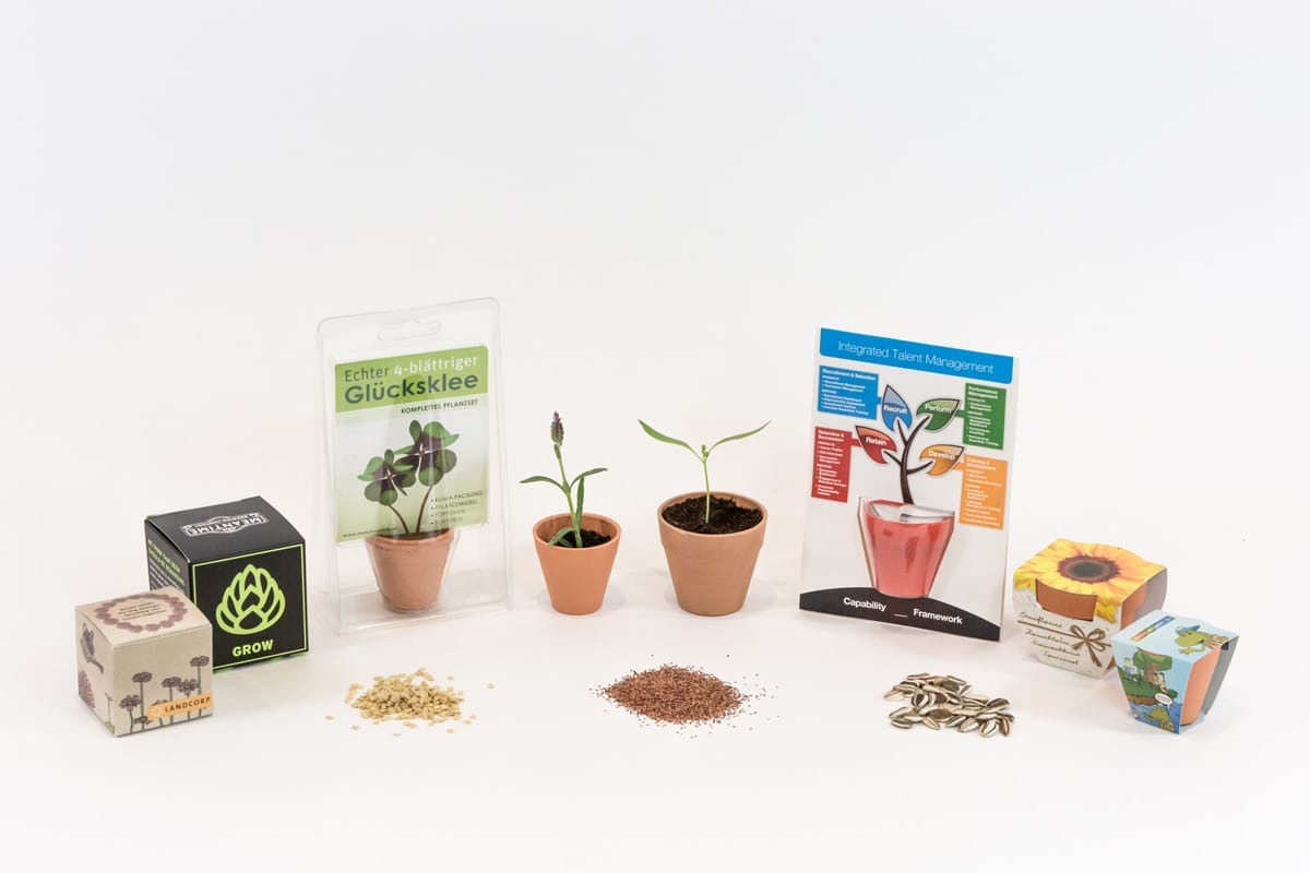 Seed Grow Kits Sow Easy