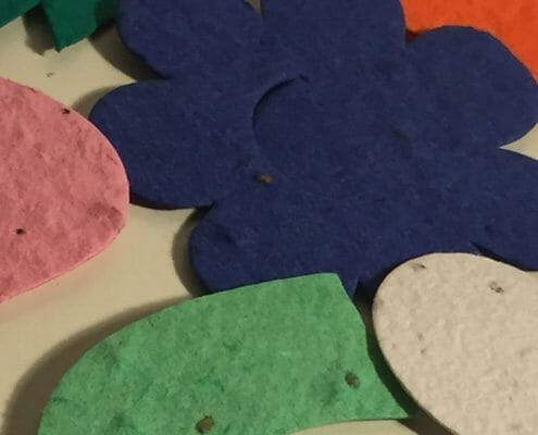Plantable Seed Paper Products