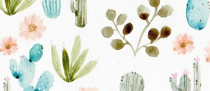 Painting of Cacti