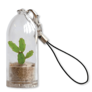 cactus keyring eco-friendly promotional product