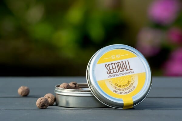 Seedball Tin - Save the Bees Wildflower Mix