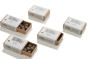 SeedBalls Matchbox - Promotional Plants