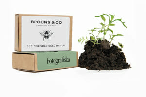 Custom Printed Seedball Matchbox with Growing Plant
