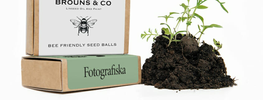 Custom Printed Seedball Matchbox with Growing Plant