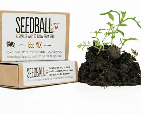 Sustainable Wildflower Seedballs in Branded Bo