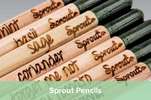 Sprout Pencils - The Plantable Pencil