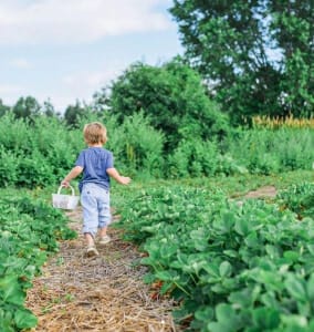 Young boy walking through garden