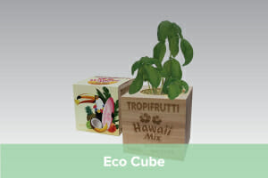 Eco Cube - Promotional Plant Pots