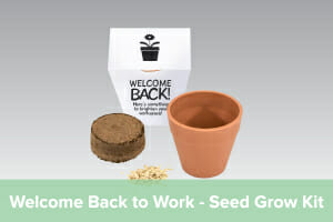 Welcome Back to Work Gift - Seed Grow Kit