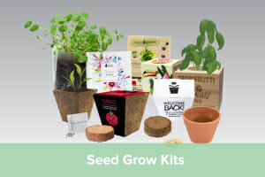 Seed Grow Kits