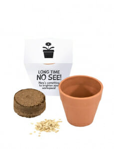Single Pot Wrap (Plastic) - Pot, Seeds & Printed Pack