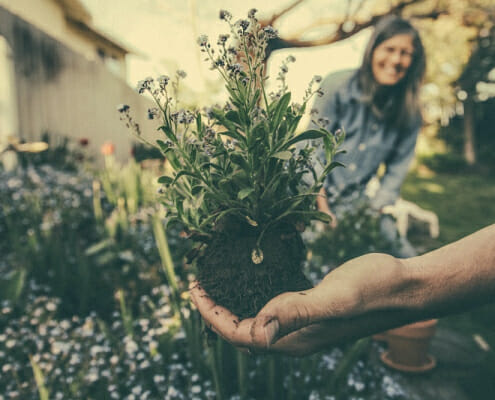 Gardening Improves Mental Health