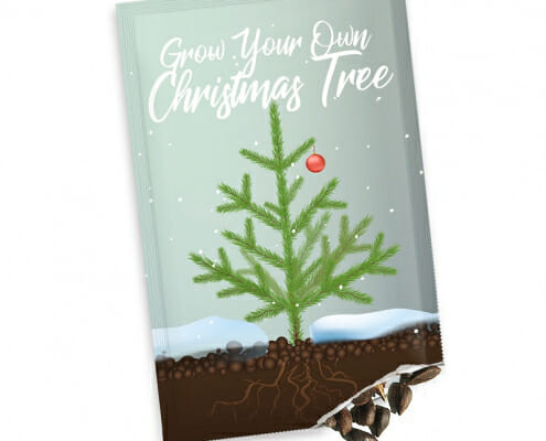 Grow Your Own Christmas Tree - Seed Packet