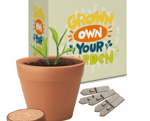 Seed Grow Kit - Sustainable Corporate Gifts