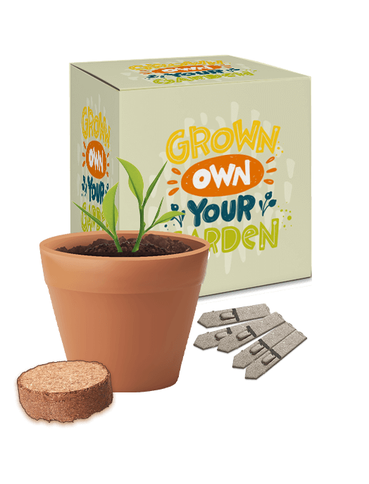 Seed Grow Kit - Sustainable Corporate Gifts
