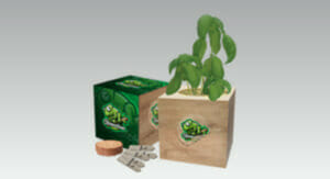 Promotional Seed Grow Kits - Eco Cube