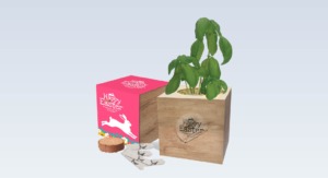 Happy Easter - Eco Cube Seed Kit