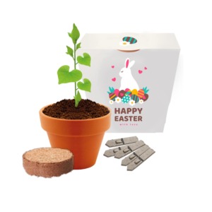 Happy Easter - Single Pot Wrap Promotional Seed Kit