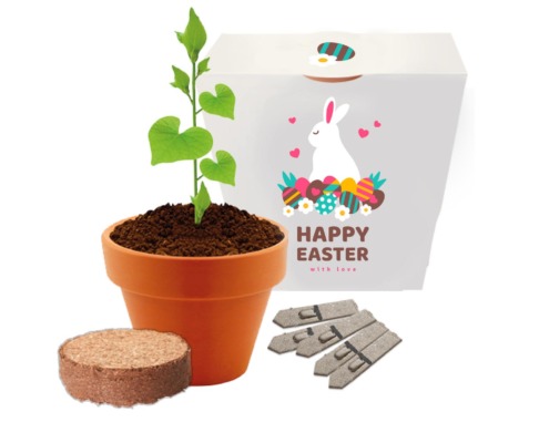 Happy Easter - Single Pot Wrap Promotional Seed Kit