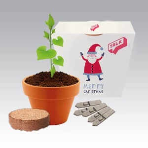 Seed Kit with Santa themed print