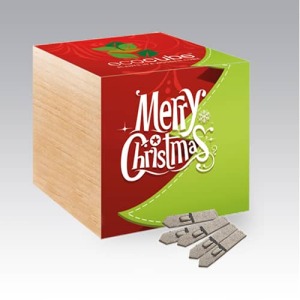 Merry Christmas Eco Cube