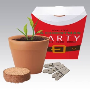 Seed Grow Kit with Santa theme customisation