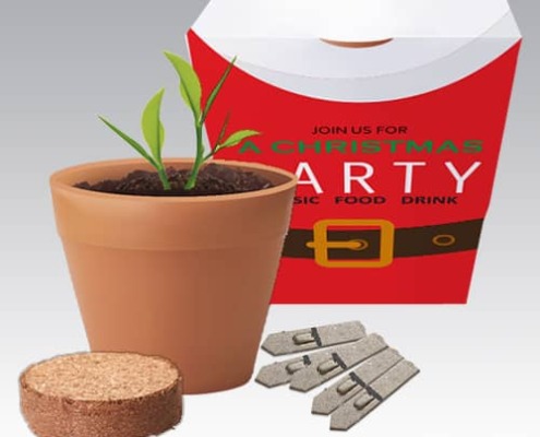 Seed Grow Kit with Santa theme customisation
