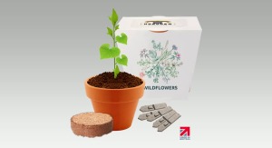 Clay Pot Grow Kit - Essentials Range