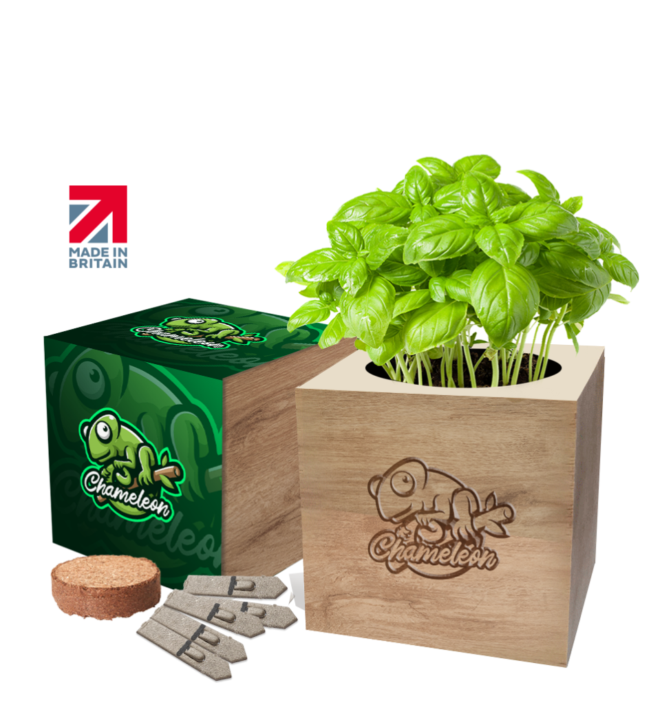 Eco Cube - Plant in a Box  Wholesale Promotional Plant Pots