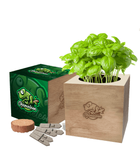 Desktop Cube Garden - Branded Grow Kit