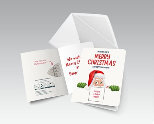 Christmas cards with Seedstics