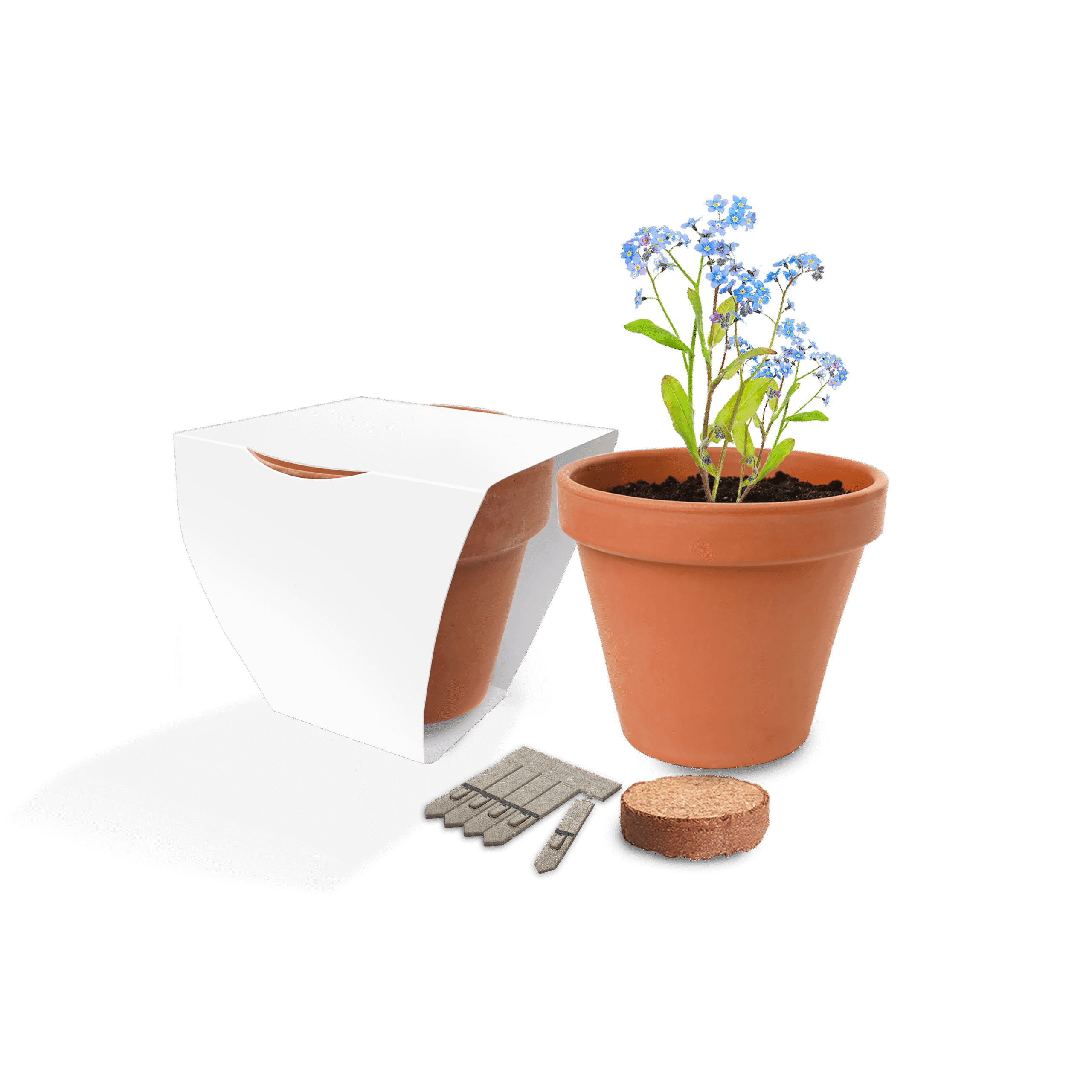 Clay Pot Gardens - Example Artwork (3D) (GKS-025)- Unbranded