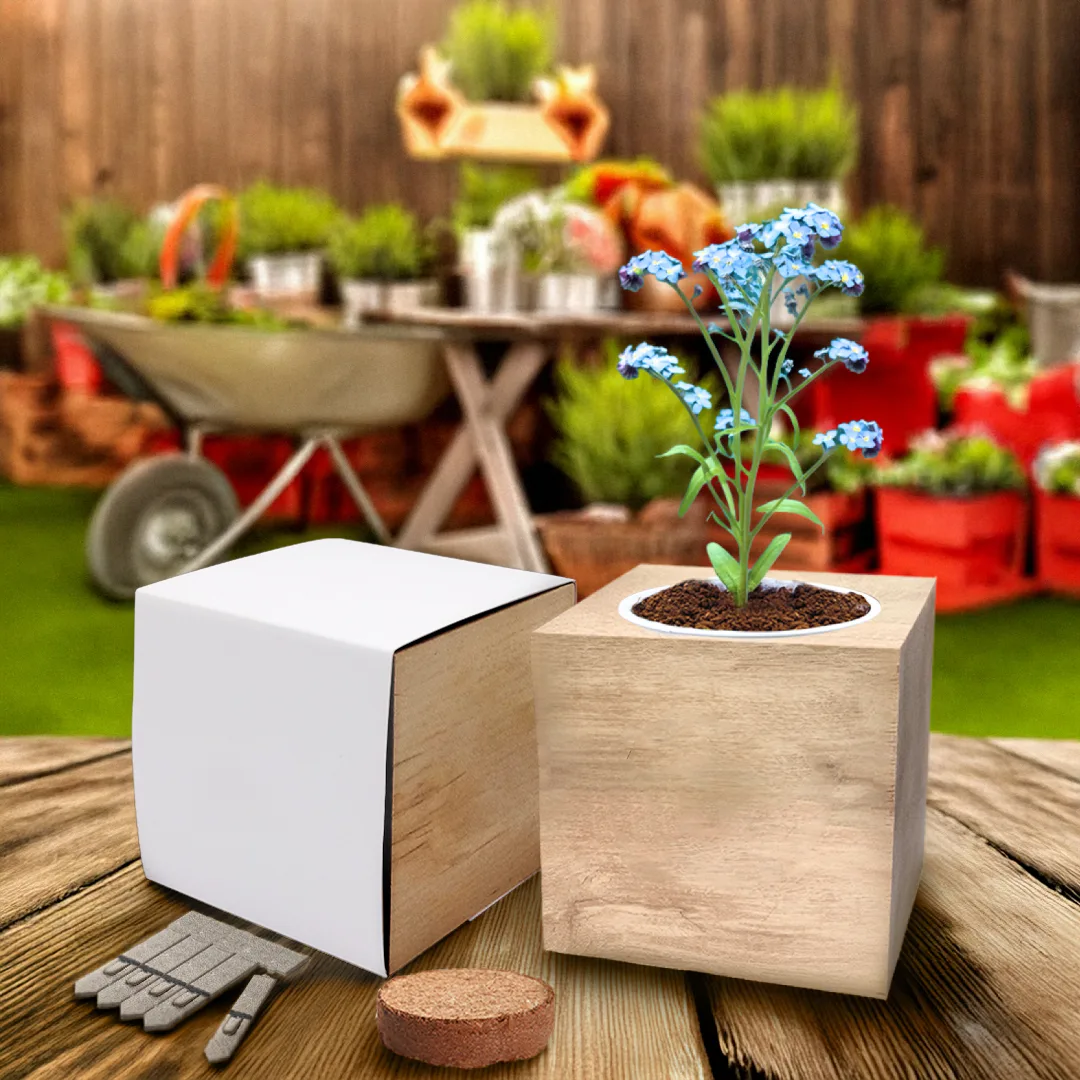 Desktop Cube Gardens - Example Artwork (3D) (GKS-021) Lifestyle Unbranded