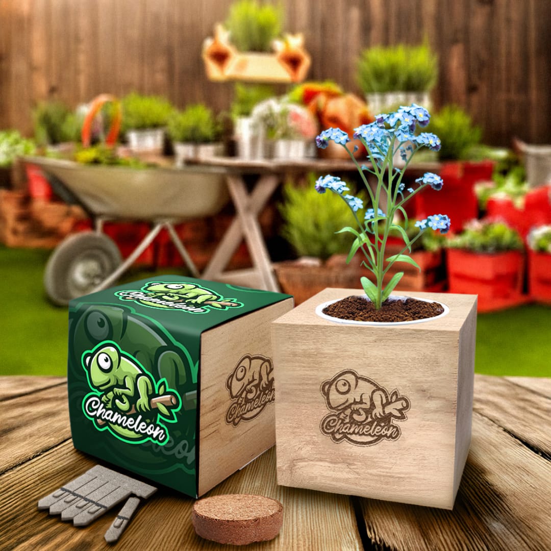 Desktop Cube Gardens - Example Artwork (3D) (GKS-021) Lifestyle