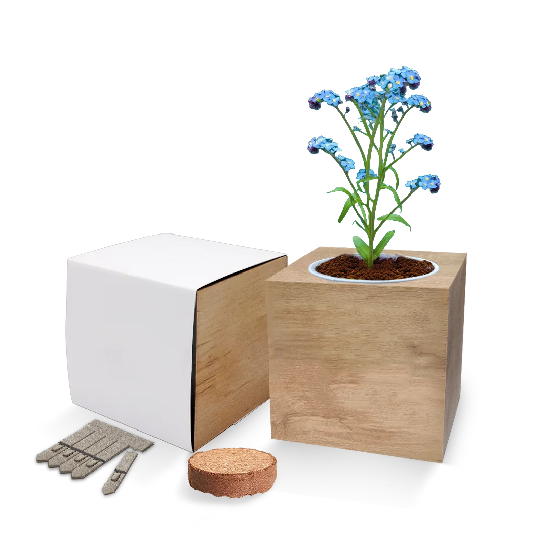 Desktop Cube Gardens - Example Artwork (3D) (GKS-021) Unbranded