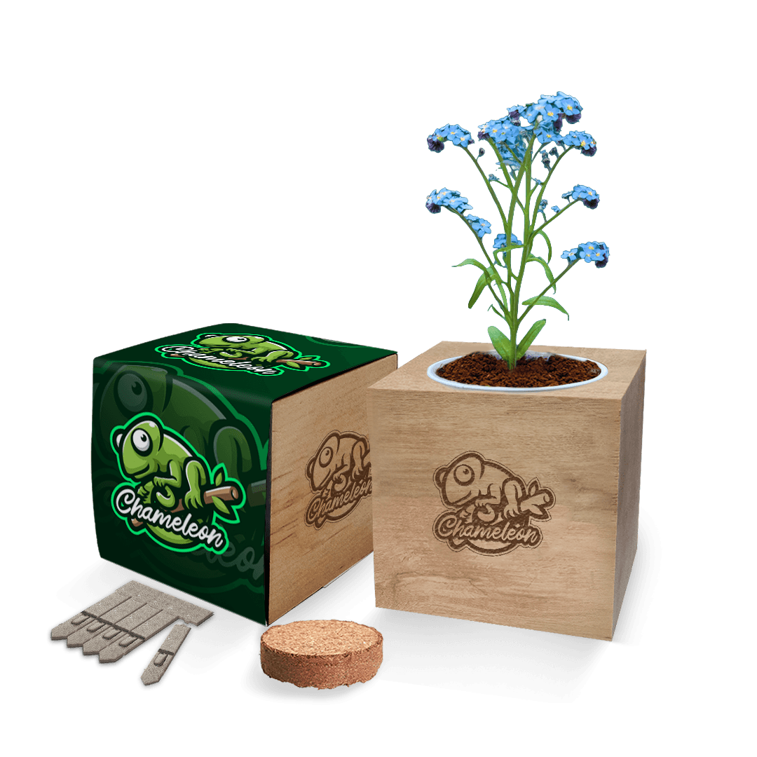 Desktop Cube Gardens - Example Artwork (3D) (GKS-021)