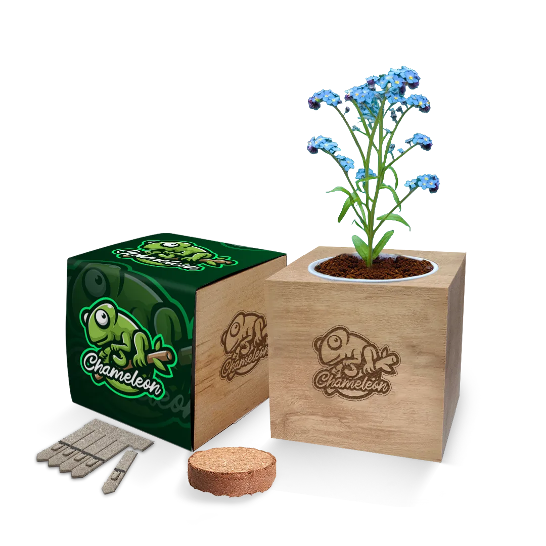 Desktop Cube Gardens - Example Artwork (3D) (GKS-021)