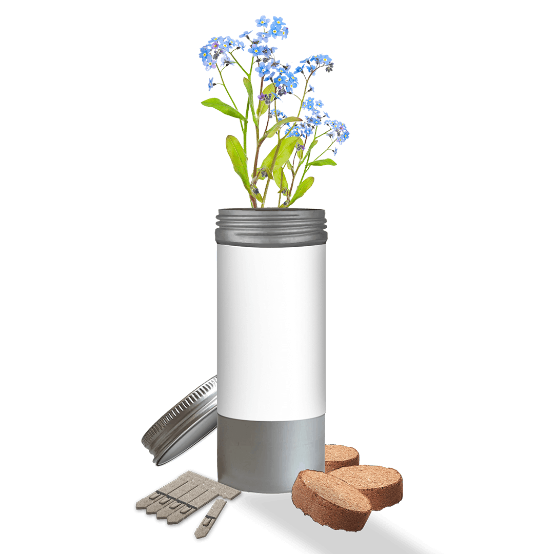 Desktop Tube Gardens - Example Artwork (3D) (GKS-015) Unbranded