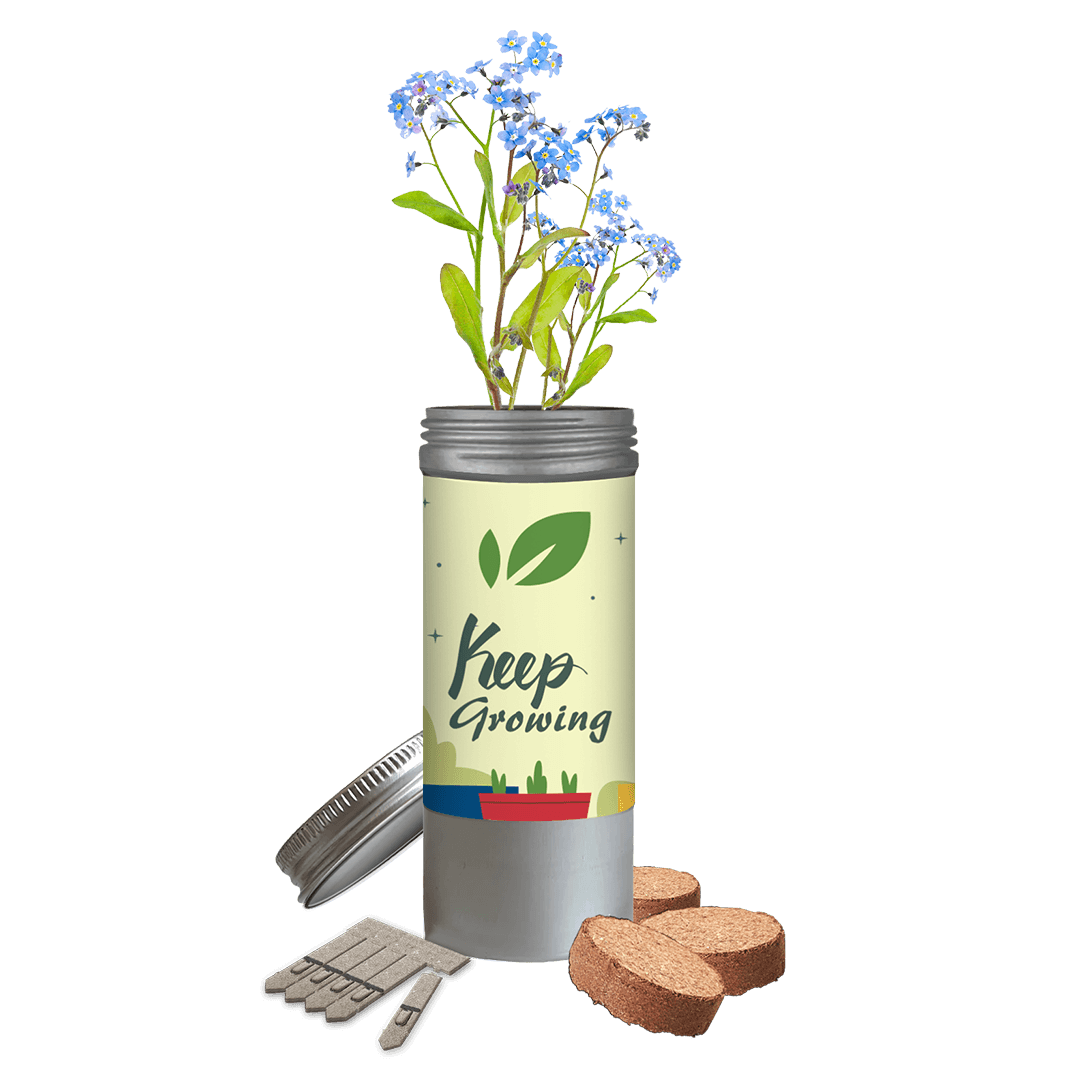 Desktop Tube Gardens - Example Artwork (3D) (GKS-015) (Wildflowers)