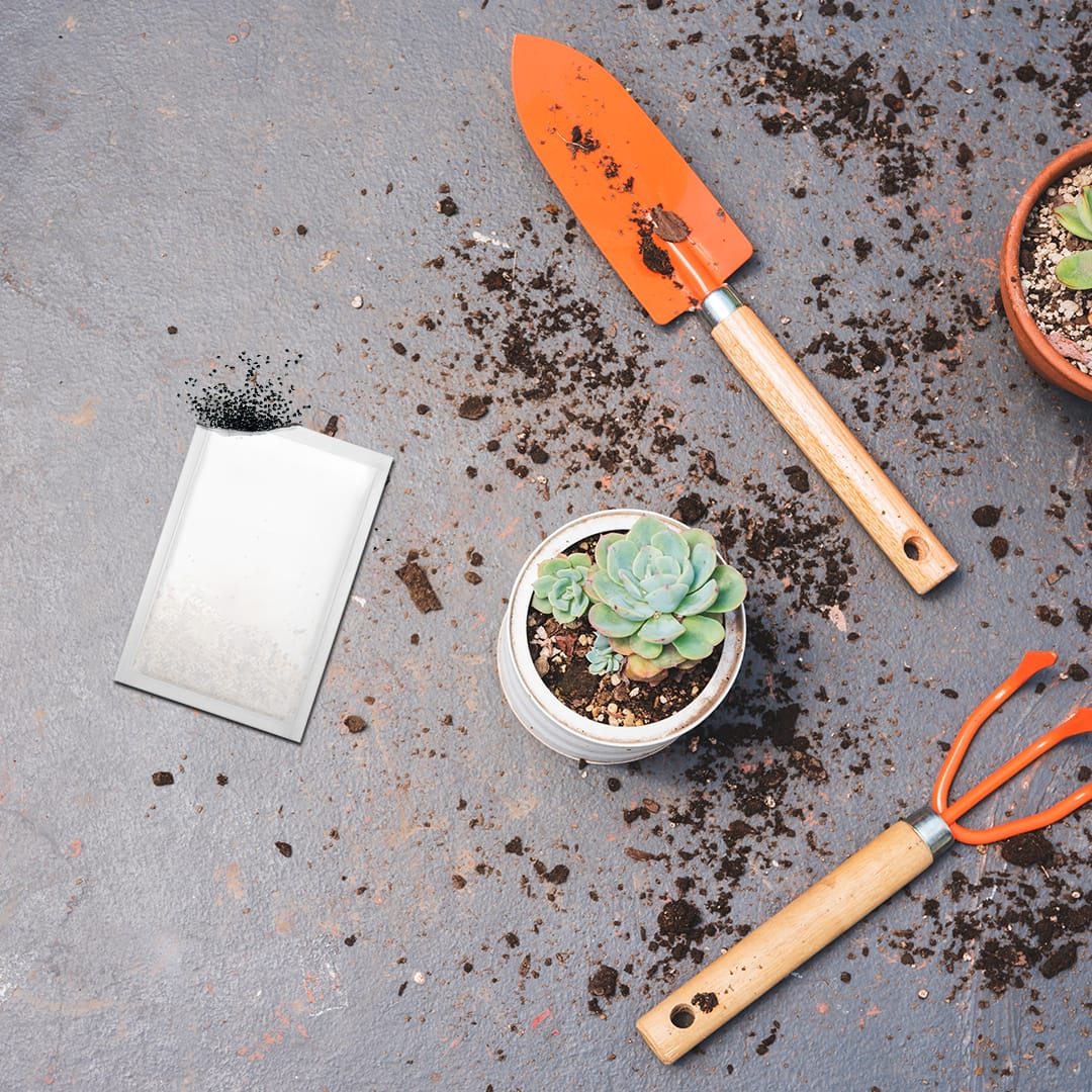 Plastic Free Medium Seed Packet - Example Artwork (3D) (SPK-025) Lifestyle Unbranded