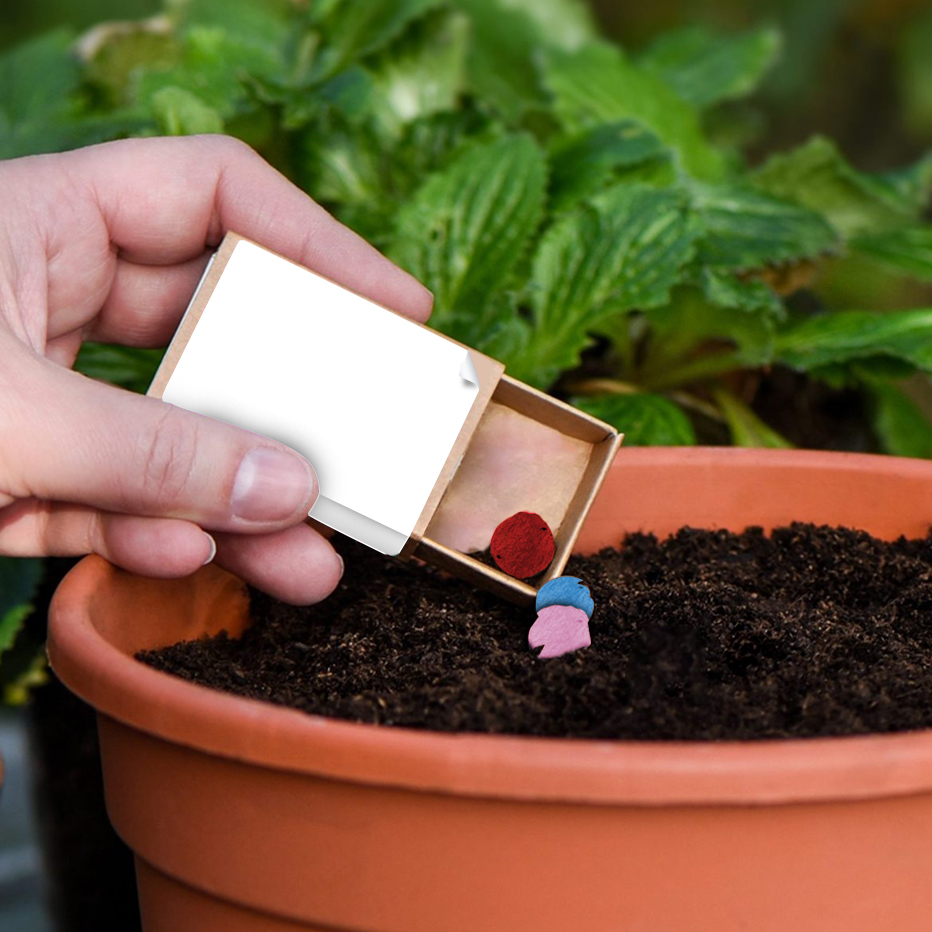 Rainball Seedboxes - Example Artwork (3D) (GGS-006) Lifestyle Image_Unbranded