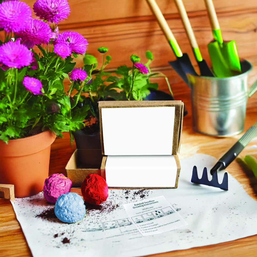 Rainball Seedboxes - Example Artwork (3D) (GGS-006) Lifestyle - Unbranded