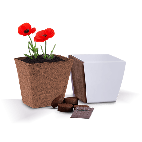 Bio Pot Gardens - Example Artwork (3D) (GKS-024) Unbranded