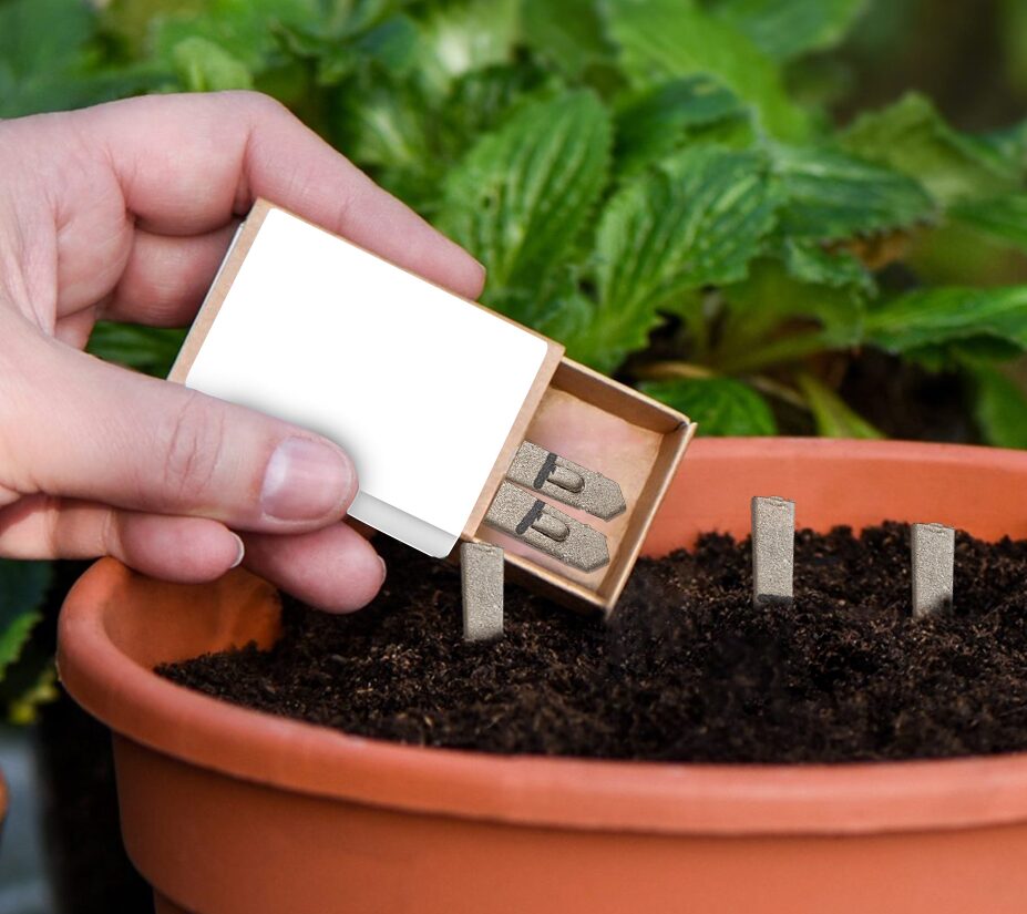 Matchbox Seedsticks®- Example Artwork (3D) (GGS-005) Lifestyle Image_Unbranded
