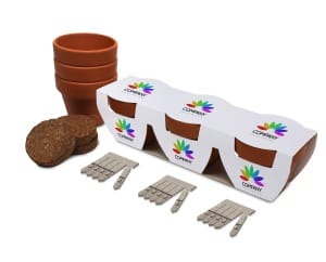 Trio of plant pot seed kits