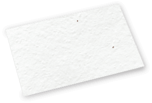 Seed Paper Postcard - Blank