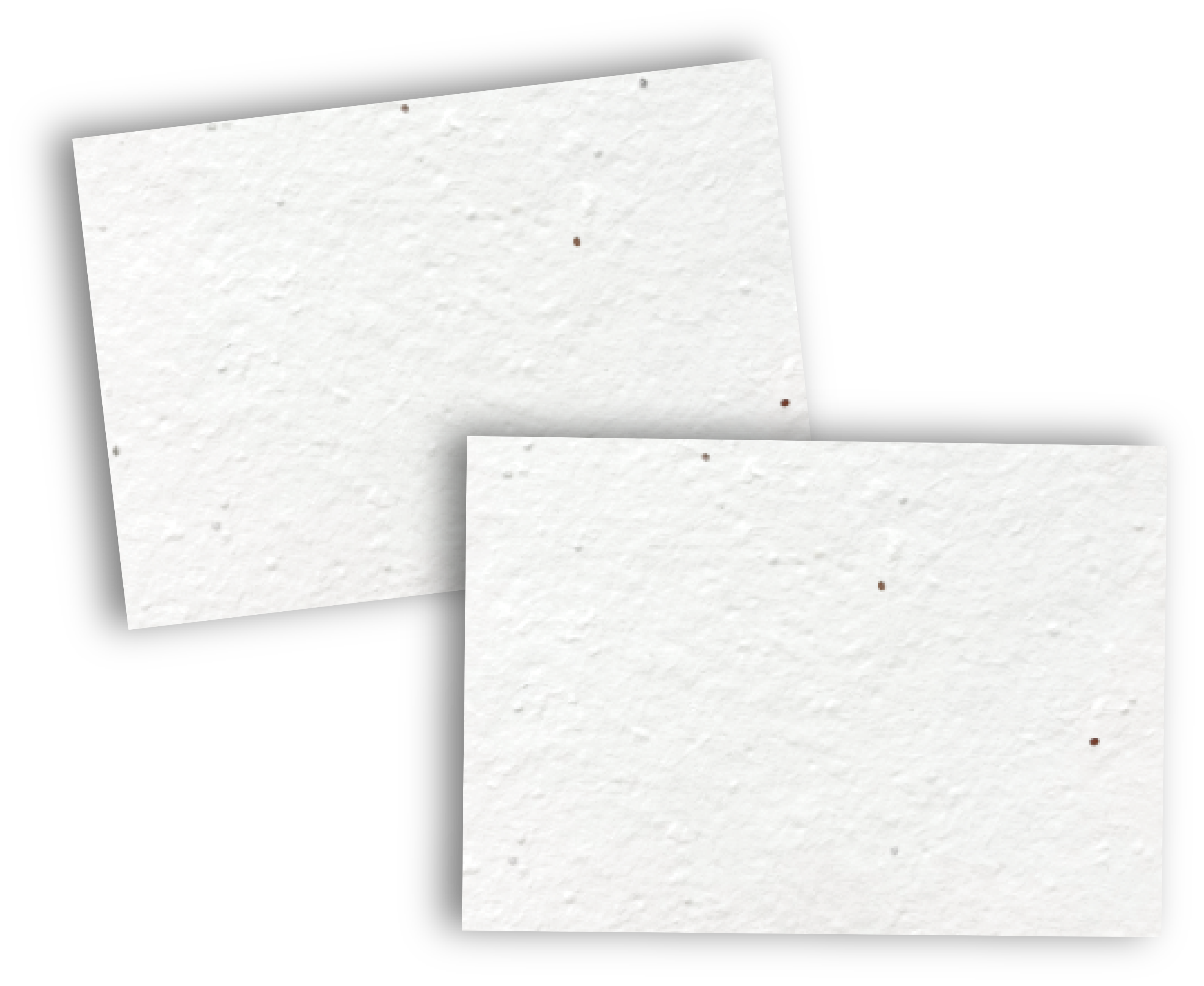 Seeded Paper Postcard A7 (2PP) - Unbranded (3D) (SPR-054)