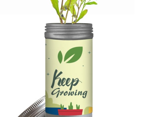 Seed Grow Kit - Desktop Garden