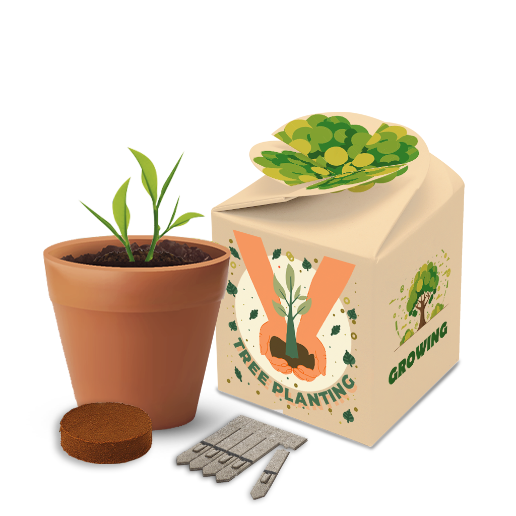 Flower Pot Box Gardens - Example Artwork (3D) (GKS-030)