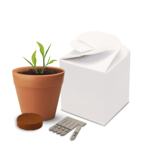 Flower Pot Box Gardens